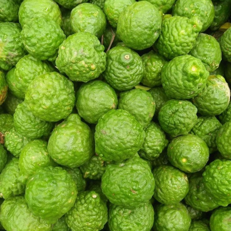 Thai Kaffir Lime Seeds Up to 50% Off