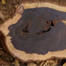 African Blackwood Tree Seeds