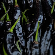 Black Thai Dragon Pepper Seeds