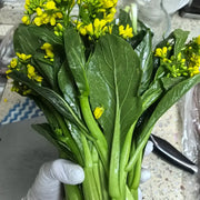 Choy Sum Cabbage Seeds