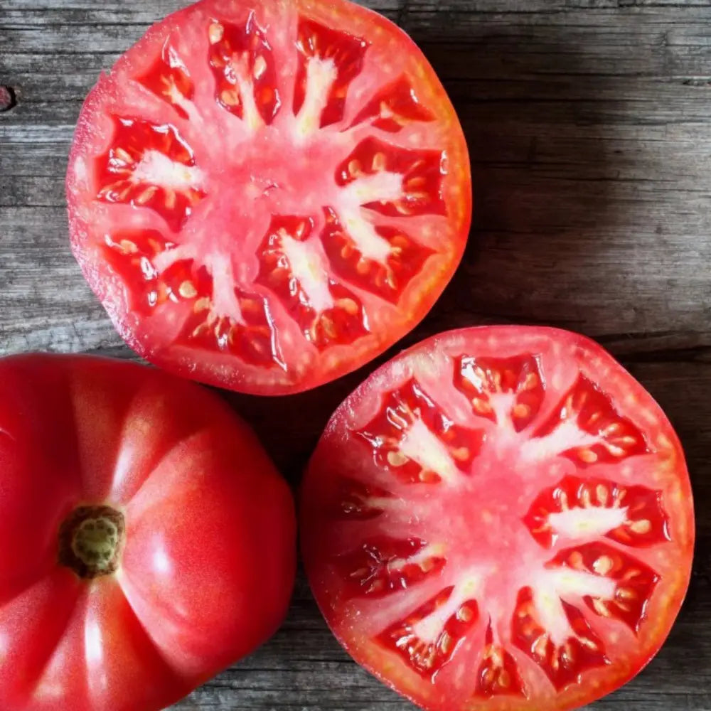 Cosmonaut Volkov Tomato Seeds