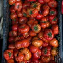 Cosmonaut Volkov Tomato Seeds