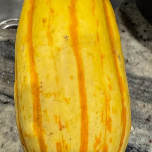 Delicata Squash Seeds