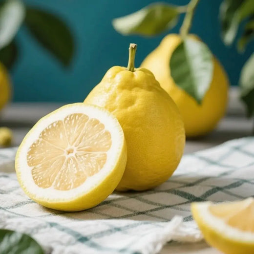 Etrog Citron Seeds