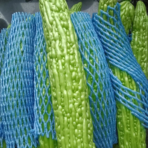 Green Bitter Melon Seeds