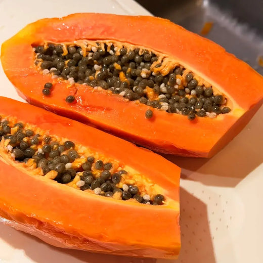Red Lady Papaya Seeds