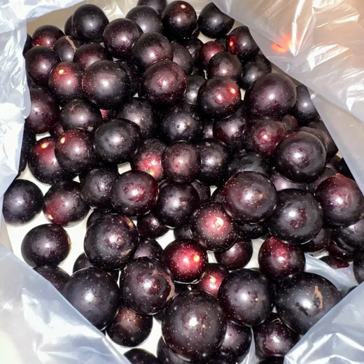 Red Muscadine Grape Seeds