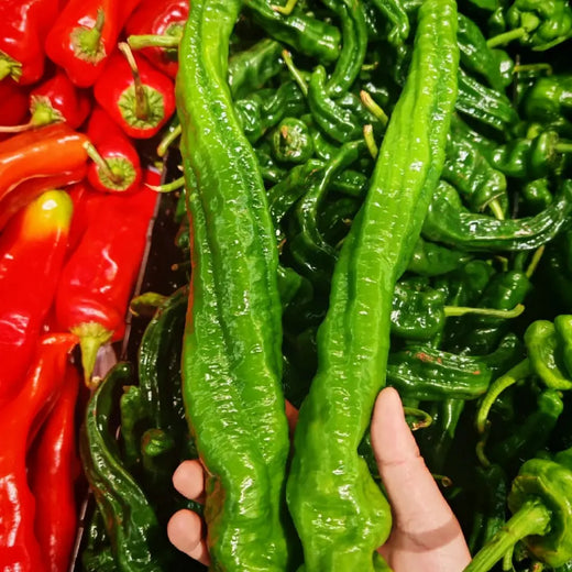 Thai Dragon Pepper Seeds