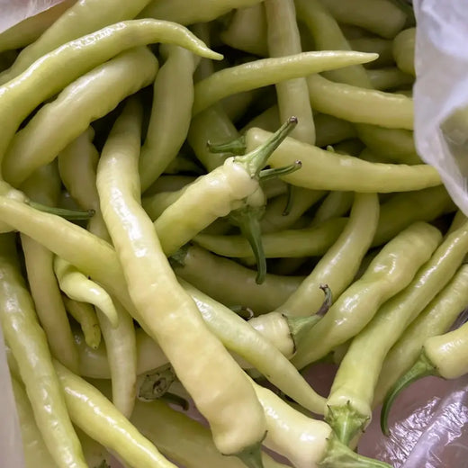 White Ghost Bhut Jolokia Pepper Seeds