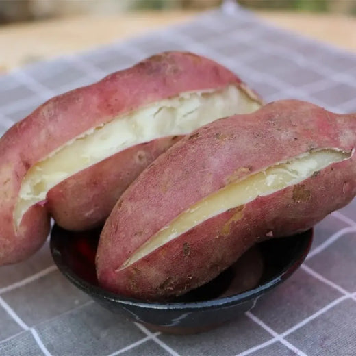 White Sweet Potato Seeds