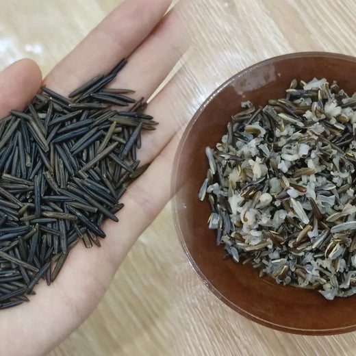 Zizania Seeds