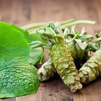 Wasabi Vegetable Seeds Up to 50% Off