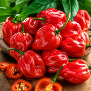 Aji Dulce Red Sweet Venezuelan Pepper Seeds