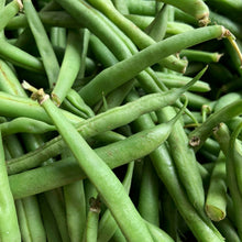 French Bean Seeds