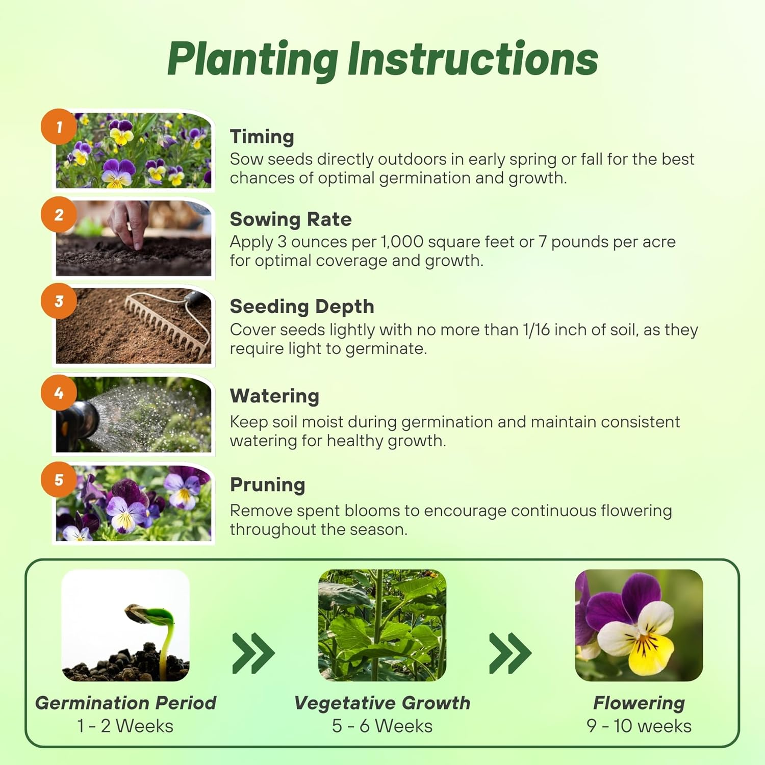 Violet Flower Seeds up to 50%