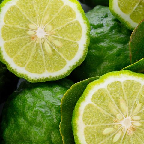 Bergamot Fruit Seeds – Aromatic Citrus Plant Seeds – Up to 50%