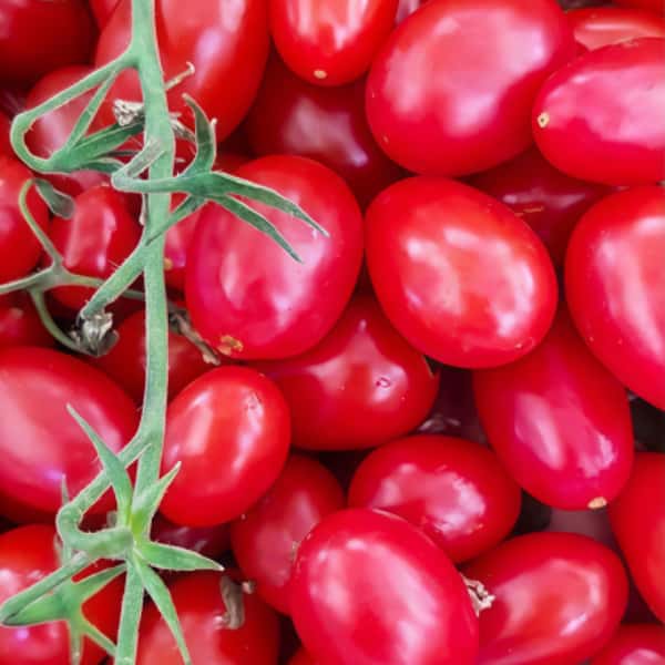 Cherry tomatoes Seeds  up to 50%