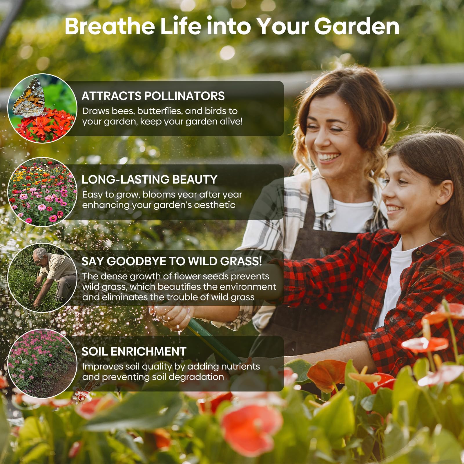 Set of 20 Flower Seed Packets! – 2000 Seeds Up to 50%