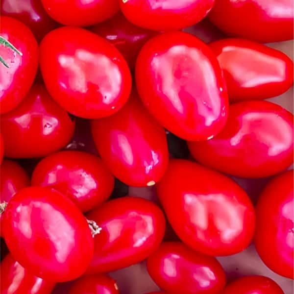 Cherry tomatoes Seeds  up to 50%