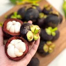 Mangosteen Seeds