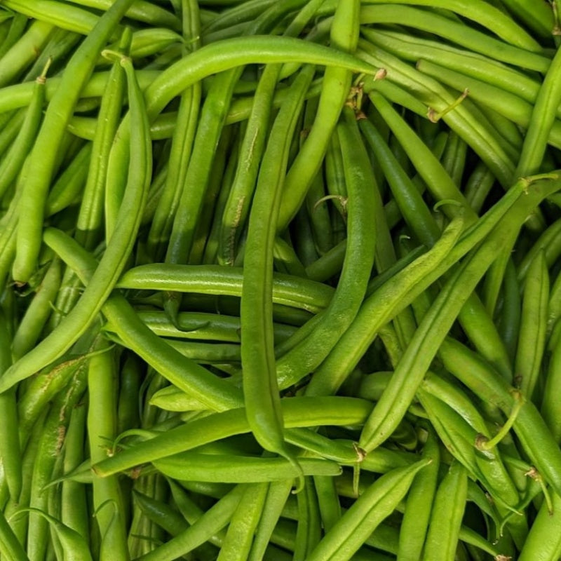 French Bean Seeds up to 50%