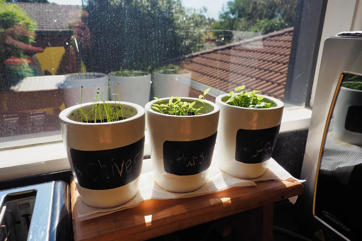 Kitchen Garden