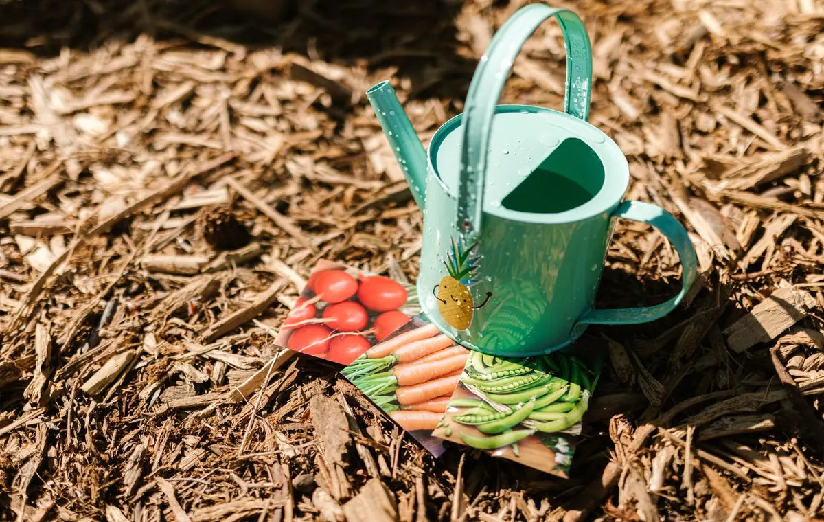 Garden lifestyle seed planting scene