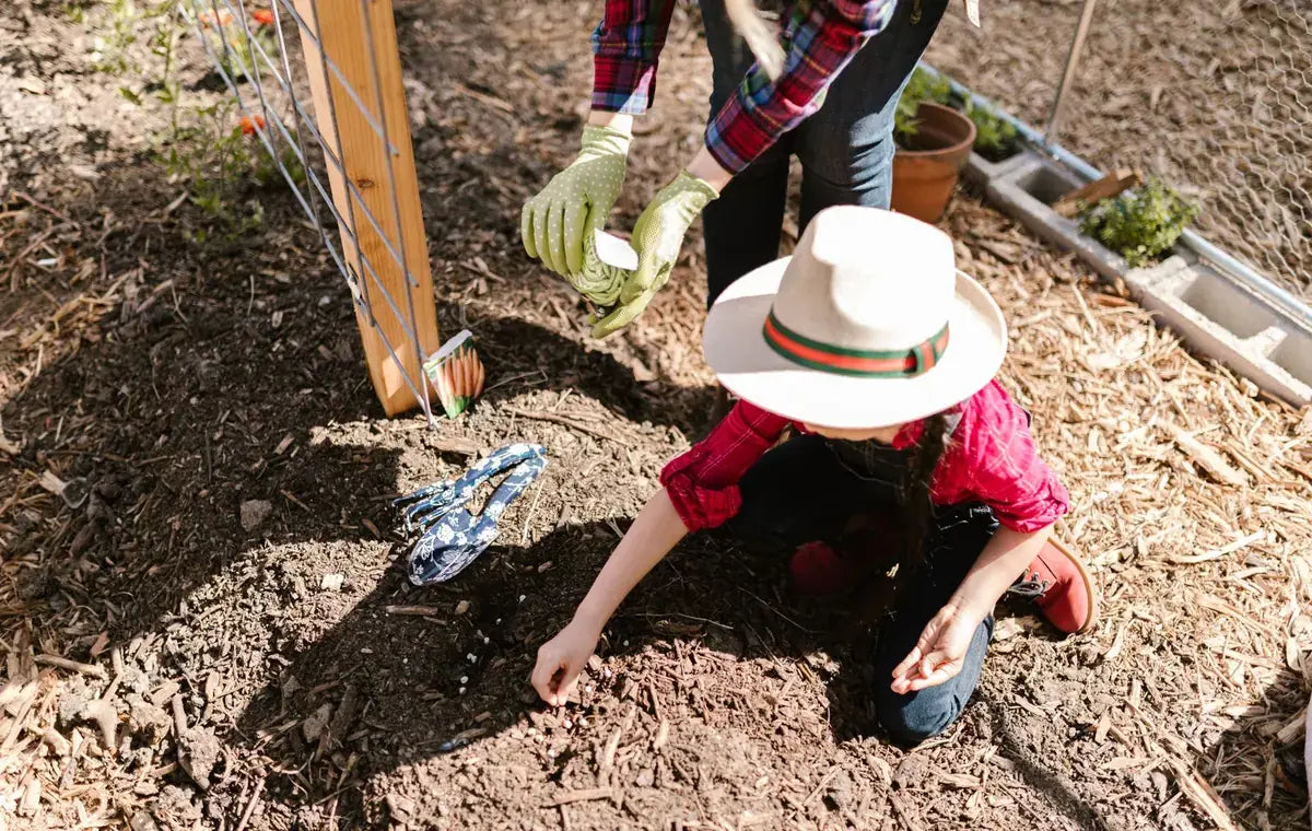 Family planting seedlings in a garden